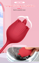 Load image into Gallery viewer, WILD ROSE