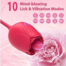 Load image into Gallery viewer, WILD ROSE
