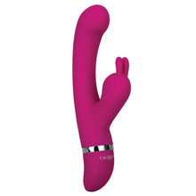 Load image into Gallery viewer, Foreplay French Bunny
